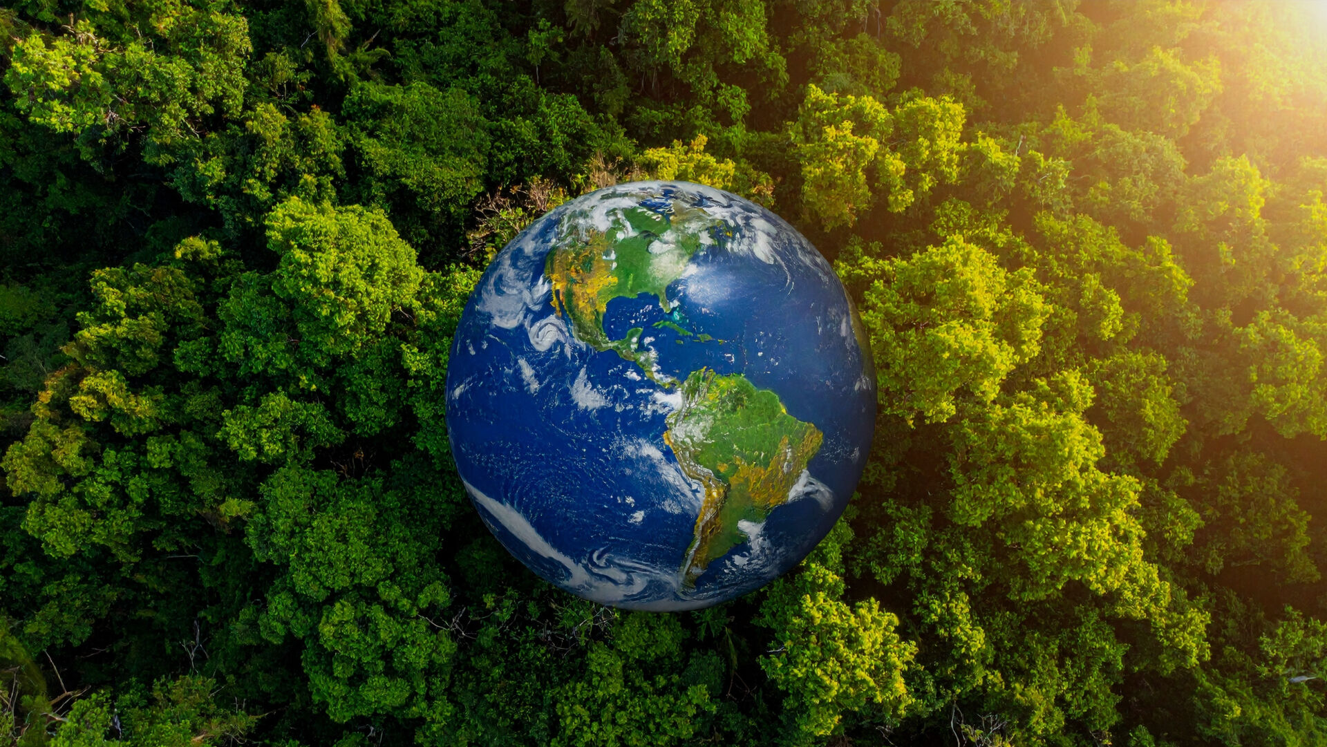 第二轮省生态情形<br>；；；；；；；；ざ讲