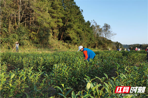 华菱集团：党建引领驻村扶贫 建起脱贫“聚宝盆”
