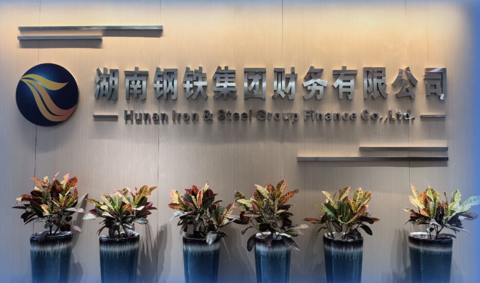 ca88官方唯一网站集团财务有限公司